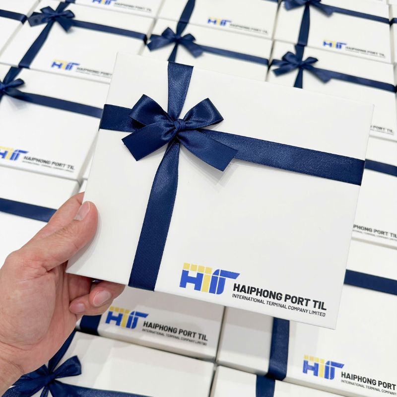 SET COMBO DA THẬT HAIPHONG PORT TIL